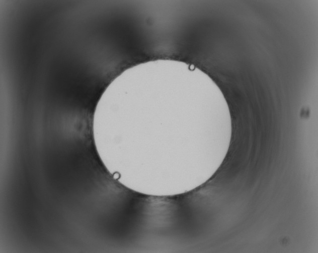 X0000103940528200809261728