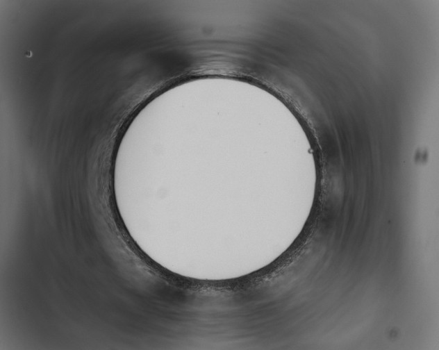 X0000103940529200809261727