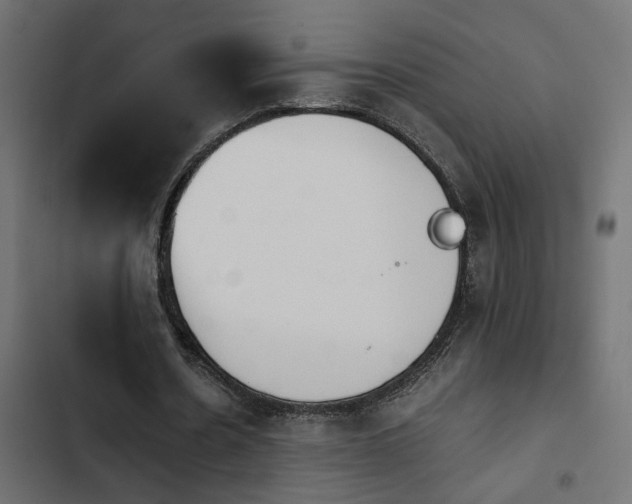 X0000103940530200809261727