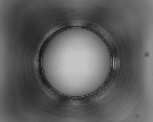 X0000103940531200809261727