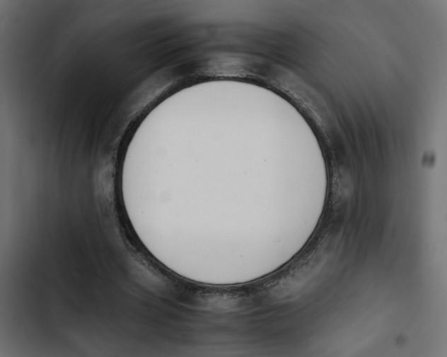 X0000103940533200809261727