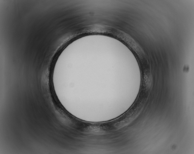 X0000103940534200809261727