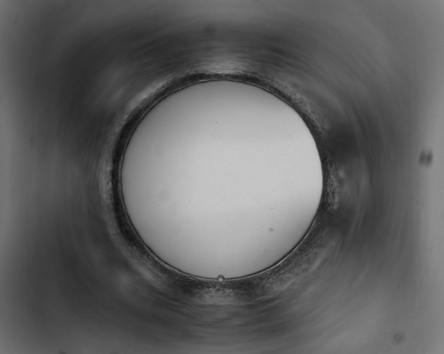 X0000103940535200809261727