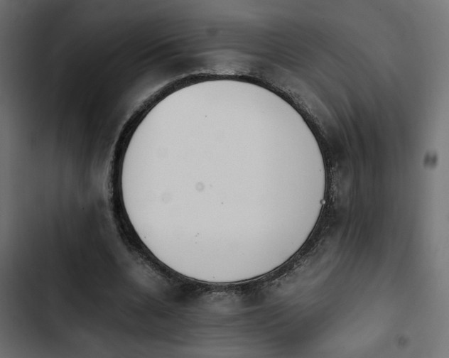 X0000103940536200809261727