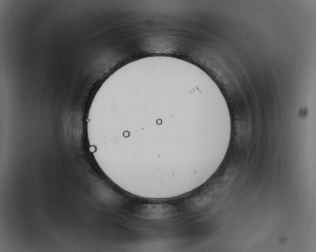 X0000103940541200809261727