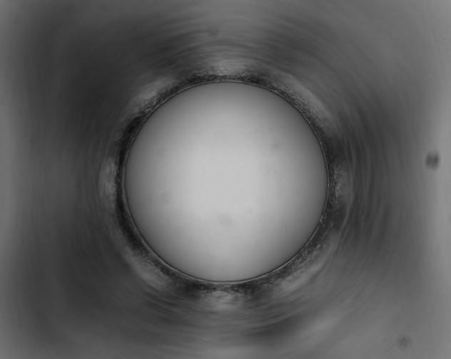 X0000103940542200809261727