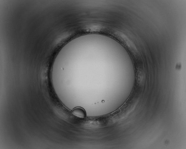 X0000103940543200809261728