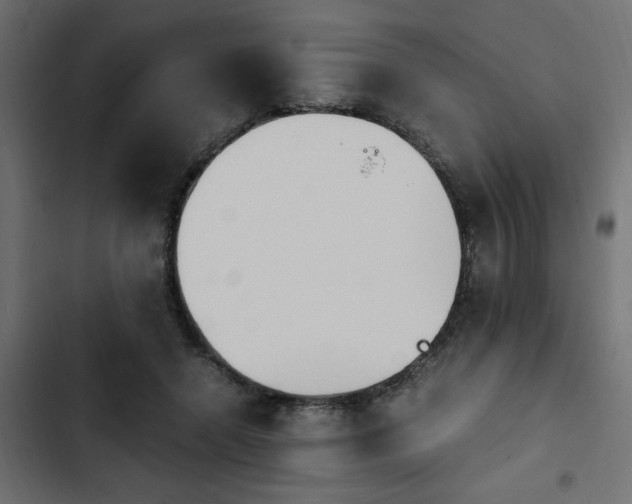 X0000103940546200809261728