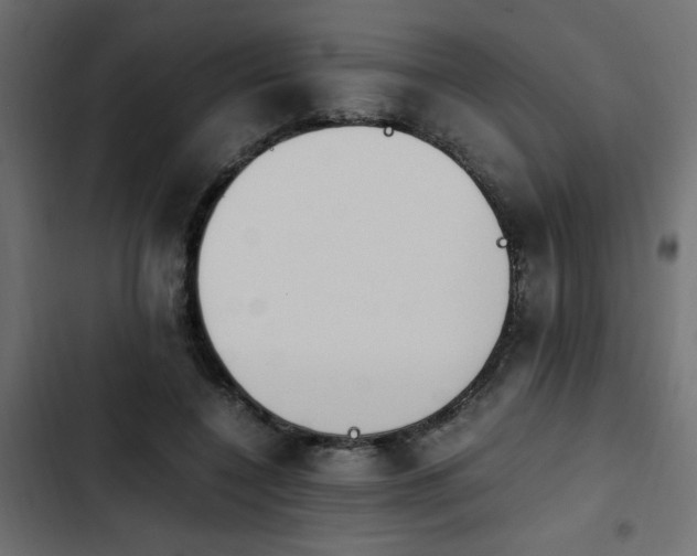 X0000103940548200809261728