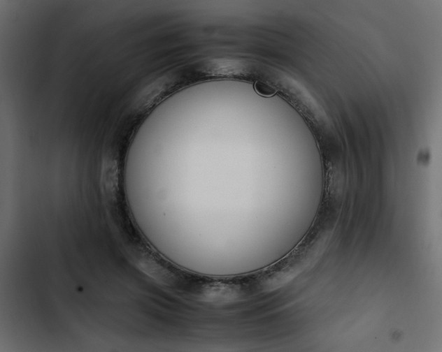 X0000103940549200809261728