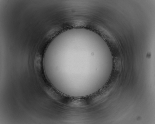 X0000103940550200809261728