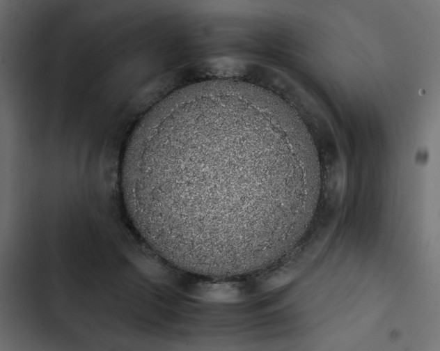 X0000103940553200809261728