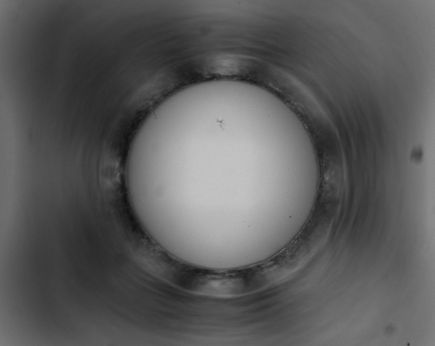 X0000103940555200809261728