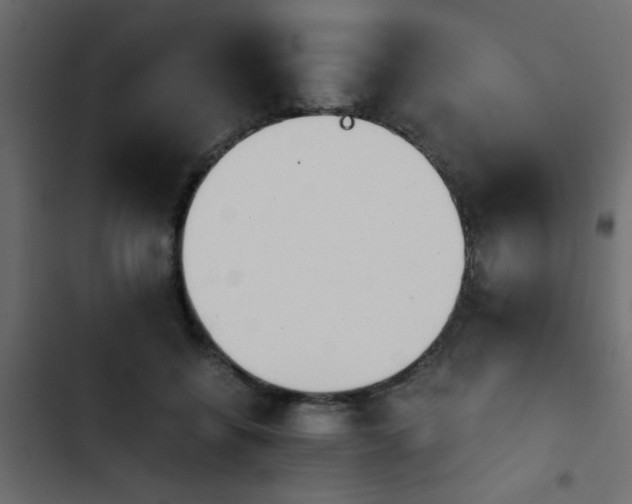 X0000103940556200809261728