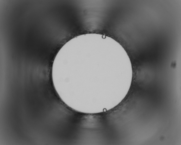 X0000103940558200809261728