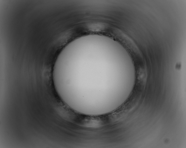 X0000103940559200809261728