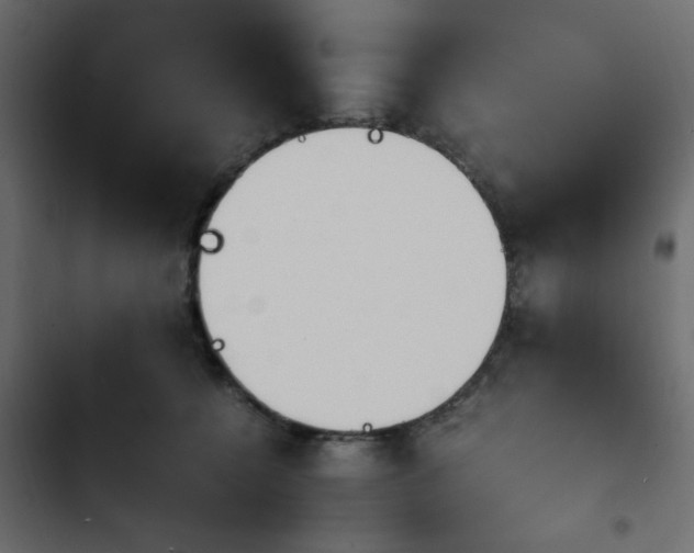 X0000103940560200809261728