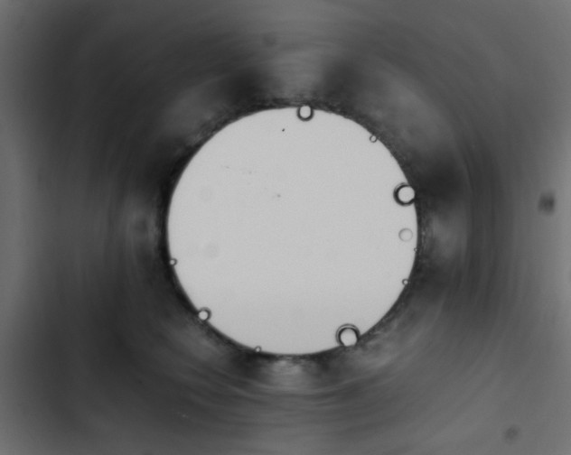 X0000103940566200809261728