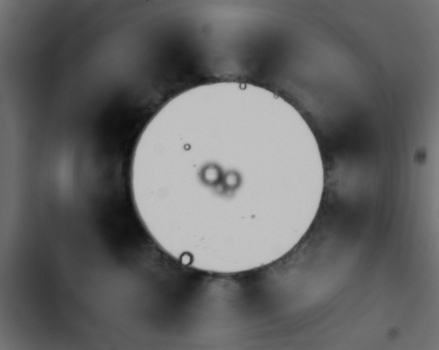 X0000103940572200809261728