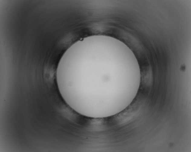 X0000103940574200809261728