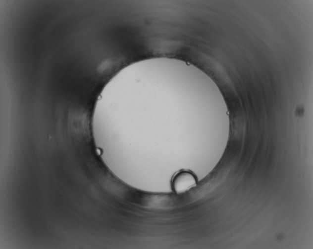 X0000103940575200809261728