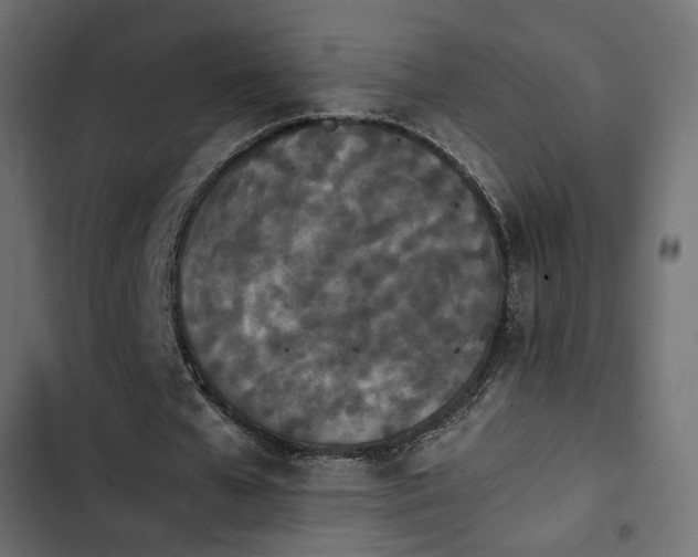 X0000103940577200809261727