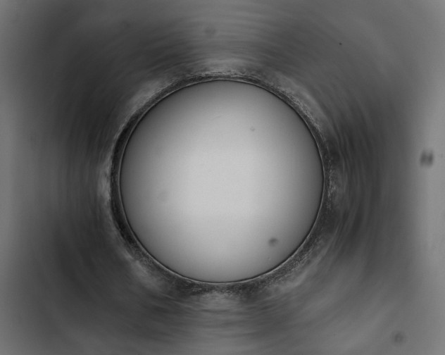 X0000103940578200809261727