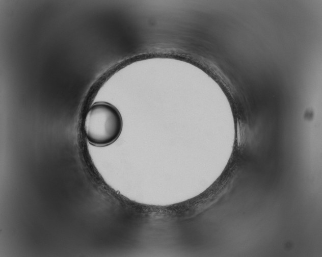 X0000103940579200809261727