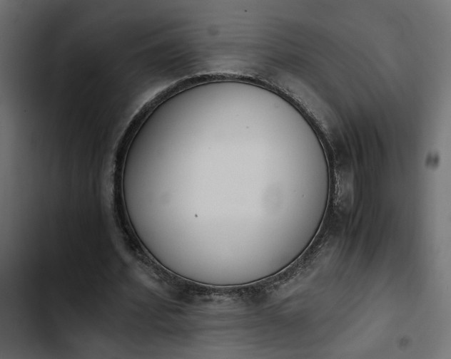 X0000103940580200809261727