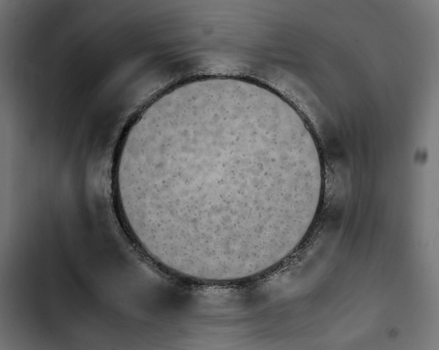 X0000103940581200809261727