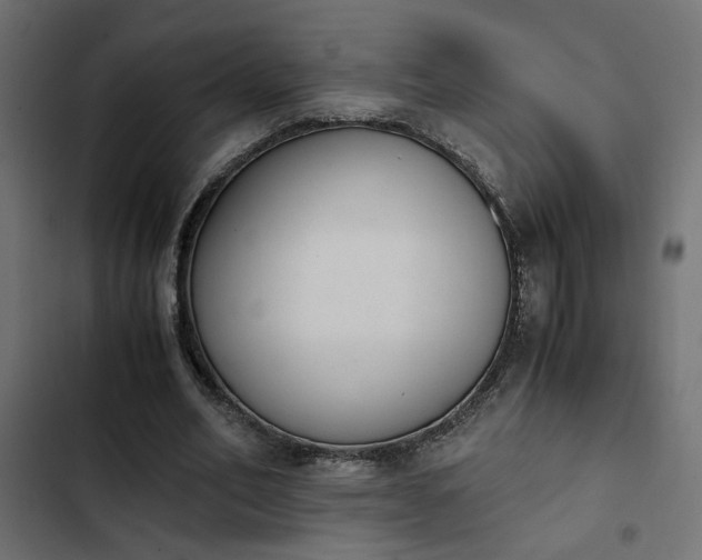 X0000103940582200809261727