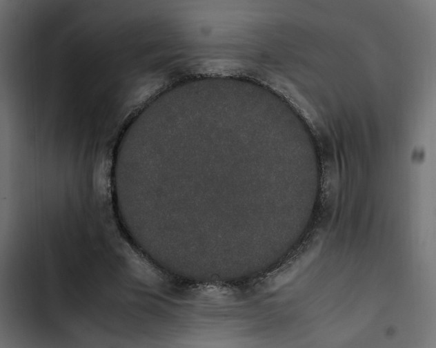 X0000103940585200809261727