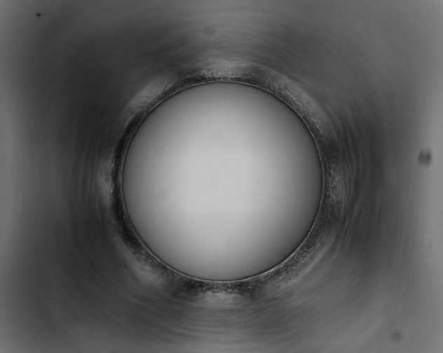 X0000103940586200809261727