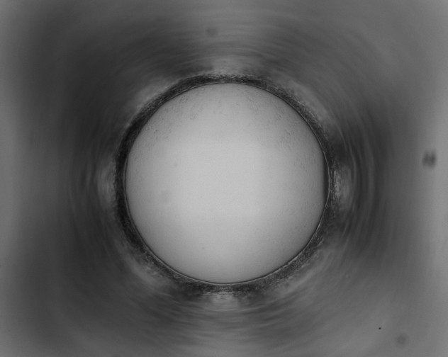 X0000103940588200809261727