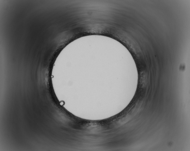 X0000103940589200809261727