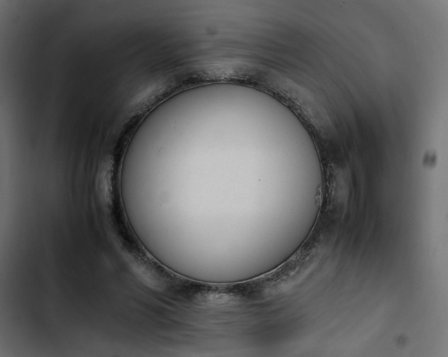 X0000103940590200809261727