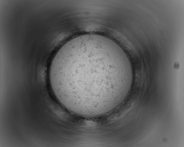 X0000103940592200809261727