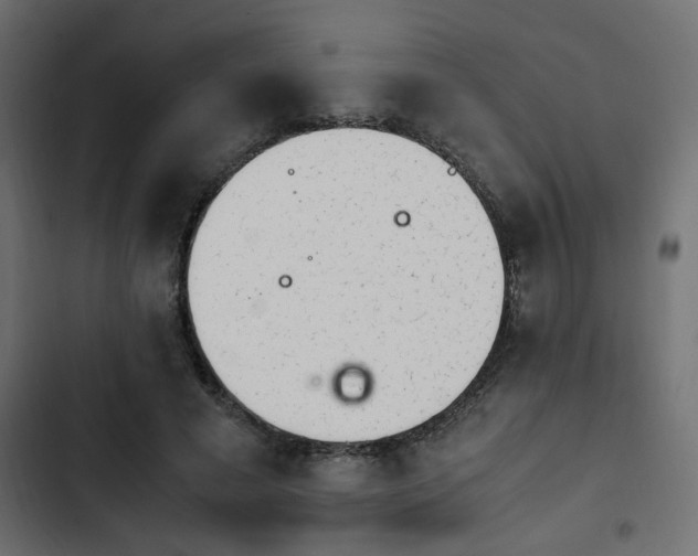 X0000103940593200809261727
