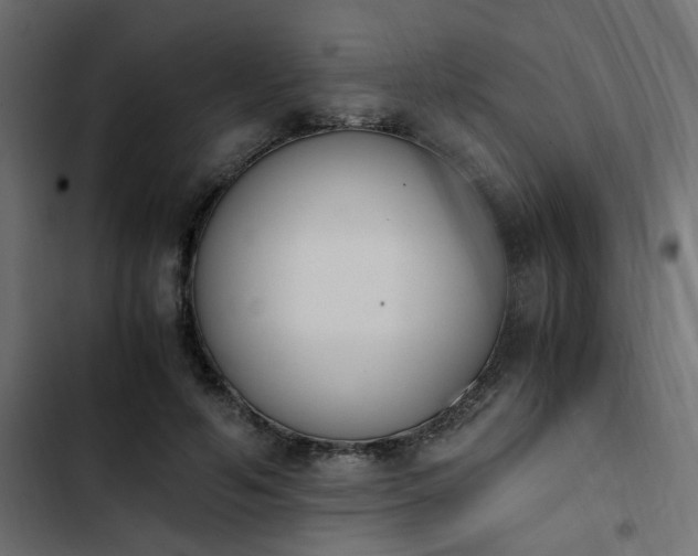X0000103940594200809261727