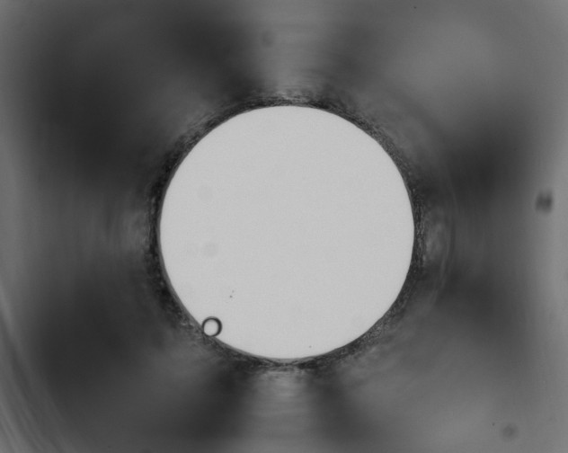 X0000103940595200809261727