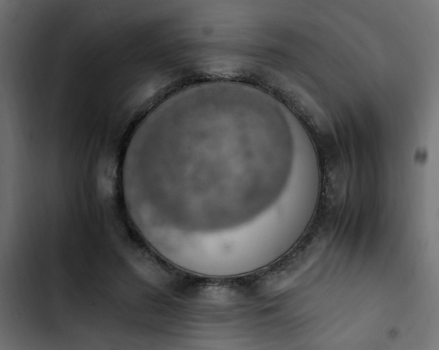 X0000103940596200809261727