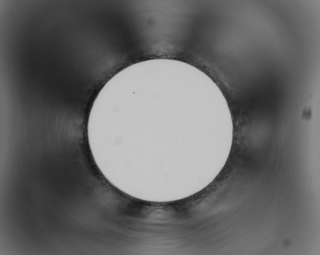 X0000103940597200809261727