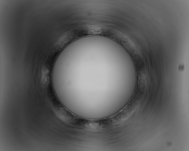 X0000103940598200809261727