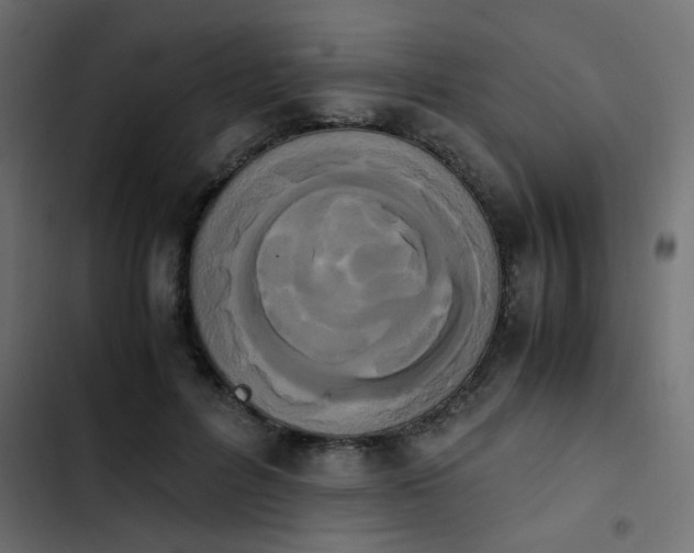X0000103940600200809261727