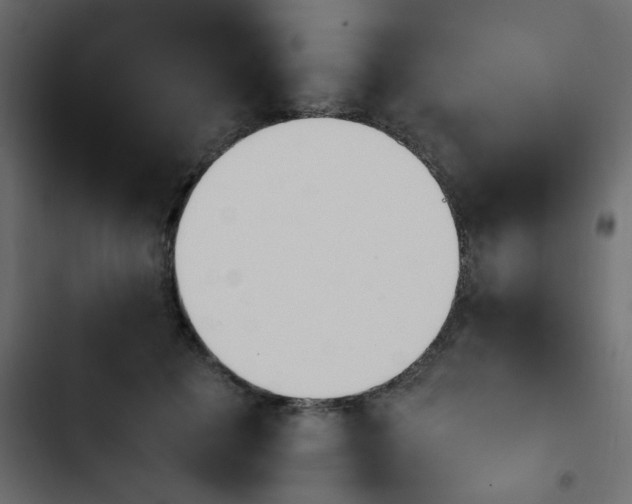 X0000103940601200809261727