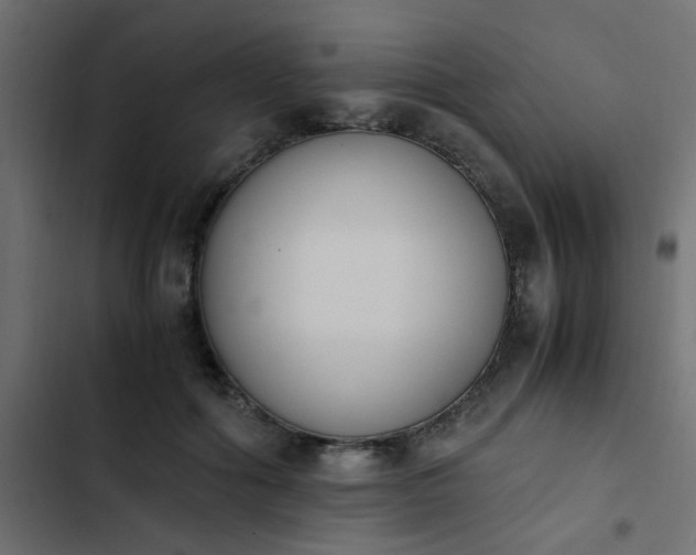 X0000103940602200809261727