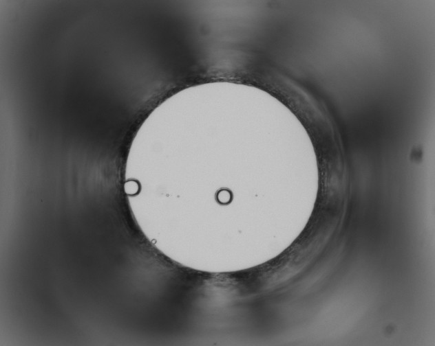 X0000103940603200809261727