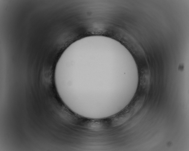 X0000103940604200809261727