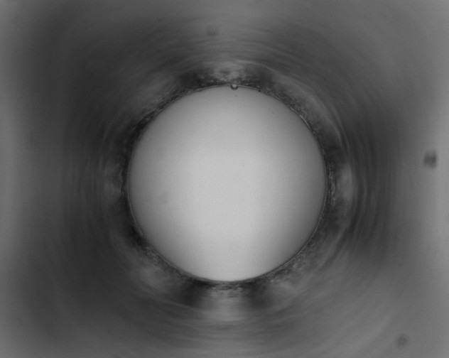 X0000103940606200809261727