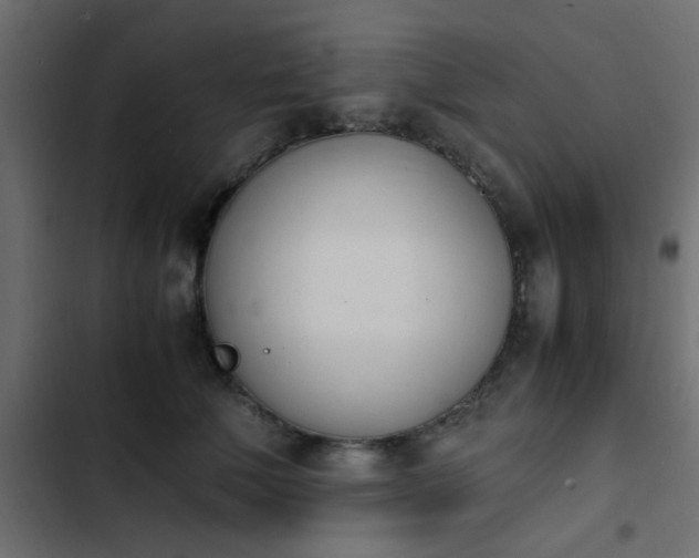 X0000103940610200809261727